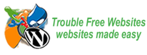 Trouble Free Websites Disclaimer website in Ellesmere Port
